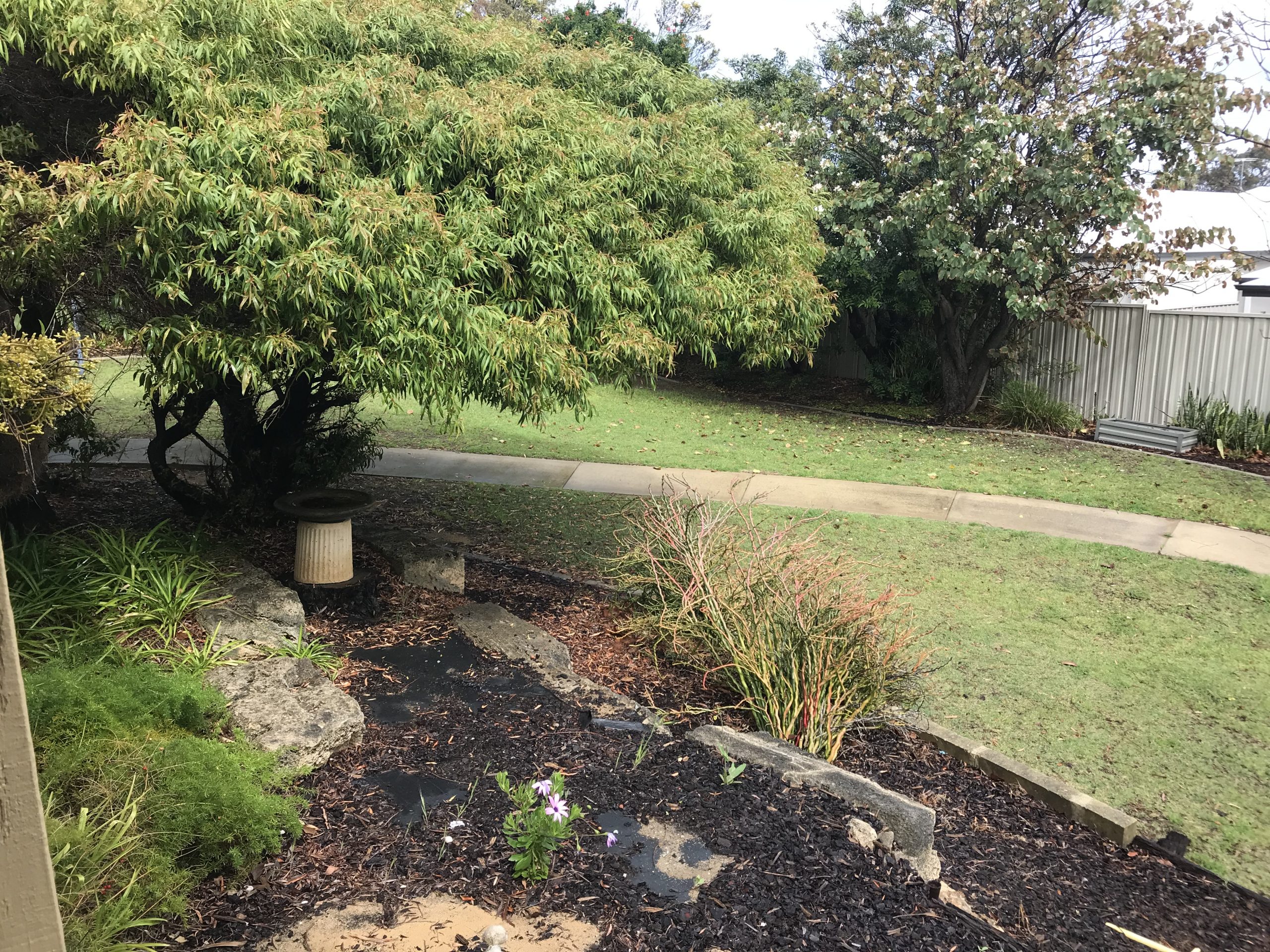 Image of a household garden